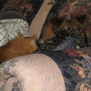 Photo47