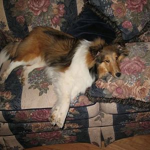 Photo45