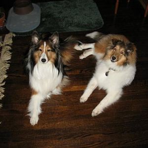 Photo40