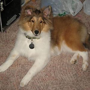 Photo38
