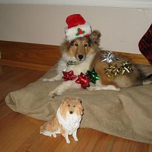 Photo33