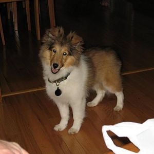 Photo31