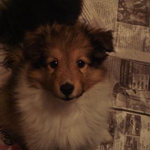 Photo18