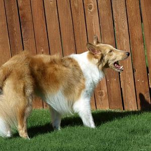 Yawn