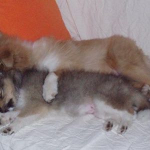 We love spooning