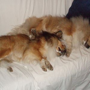 Spooning again