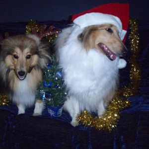 "Do you believe she made us wear this?"