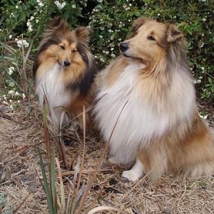 Deska and Tully