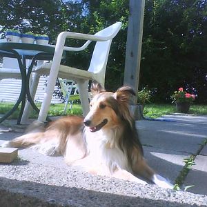August 2009 040