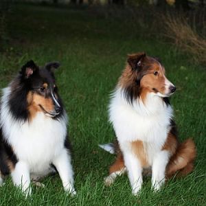 Sitting pretty (sorta - part 2)