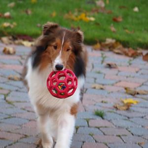 I love, love, love my new ball!