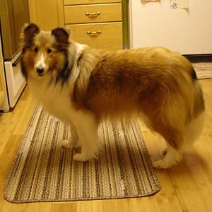 I'm 2 years, 1 month old.