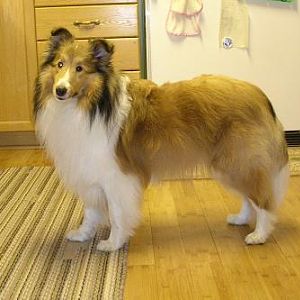 I'm 2 yrs, 3 months old.