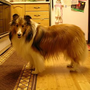 I'm 2 yrs, 7 months old.