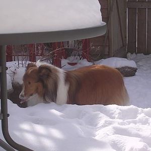 Snow is so good.