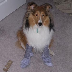 "These are not my socks!"