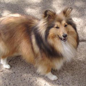 Tully 2 1/2 years