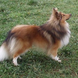 Tully at 12 months