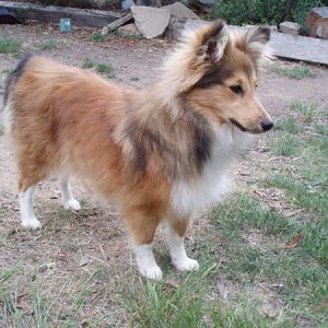 Tully at 6 months