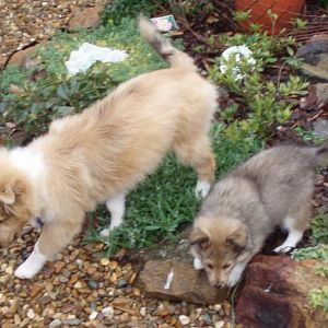 July 2007 - in the garden