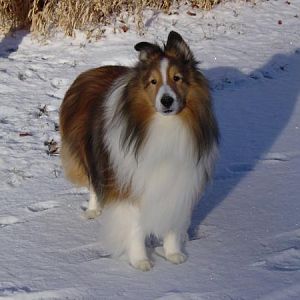 One of my favorite pictures of my beautiful Trevor.