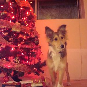 december 08 036
