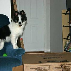 Hmm this box needs to be conquered