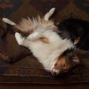 Bacca had a stressful day!