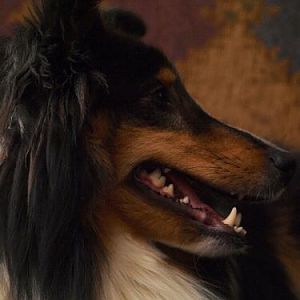 Indy's Smile!