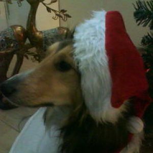 December 2009 057