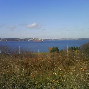 Summer walk to the dogpark, overlooking part of the harbour, the Bedford Basin