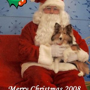 Meggie's first trip to see Santa.  She was such a good little girl among all the other crazy dogs.  Santa said she was the only one on the "Nice" list