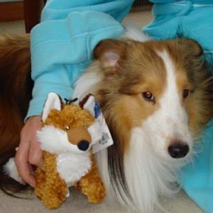 Joey&Fox