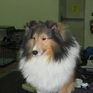 Coal, the 'other' man. This guy is amazing!