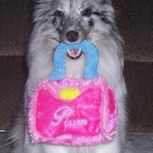 Ember's custom handbag
