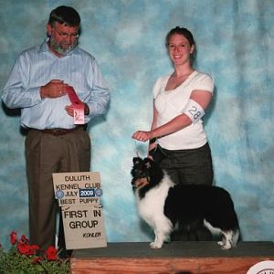 AKC group 1 puppy Photo by Kohler photography