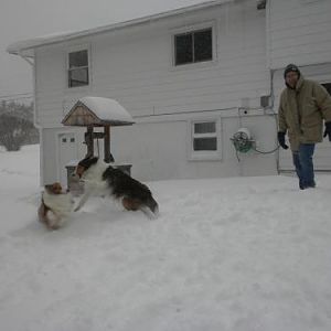 Frolicking in our backyard