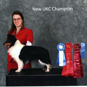 Diva earning her UKC Championship handled by her co owner Rachel