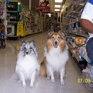 Ember and her brother Brodie.
