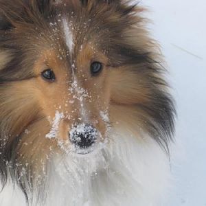 Why do I have all this white stuff on my nose?