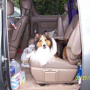 The car is packed for our trip to Canada. Justice says don't forget me.