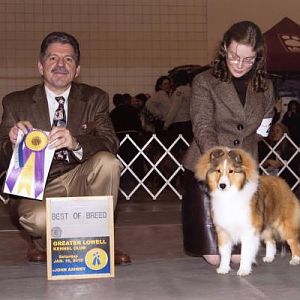 Rabbit Run Fun and Games, "Tansy", at 7 months, wins Best of Breed her first weekend out