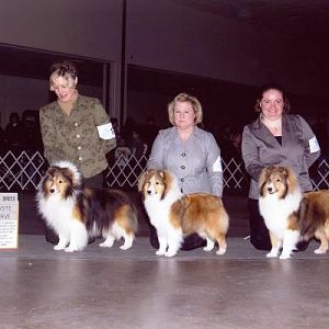 AM/CA GCH Ventura Expectation (sire) with Rabbit Run Fun and Games (get), and Rabbit Run Face Value (get) Feb 2010