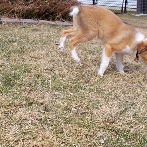 Spring is Here! *Zoom*