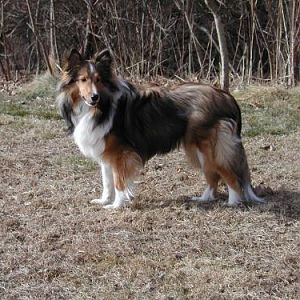 Abby @ 9 months