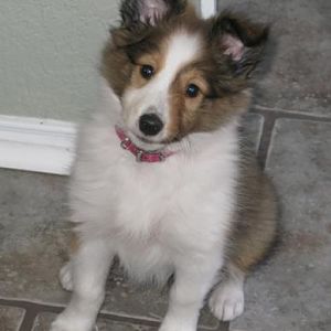 9weeks