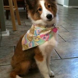 first trip to groomer easter 2010