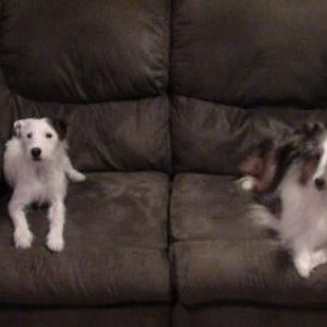 sit together