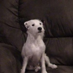 sittin