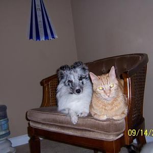 Ember and Tanner